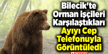 Bilecik'te orman işçileri karşılaştıkları ayıyı cep telefonuyla görüntüledi