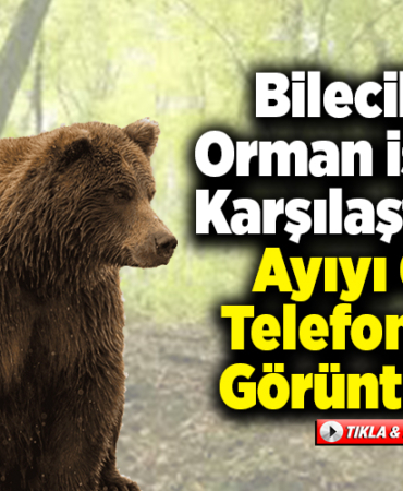 Bilecik'te orman işçileri karşılaştıkları ayıyı cep telefonuyla görüntüledi