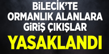 Bilecik'te ormanlık alanlara girişler 5 ay süreyle yasaklandı