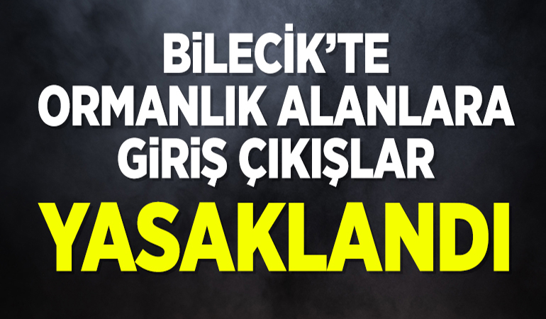 Bilecik’te ormanlık alanlara girişler yasaklandı