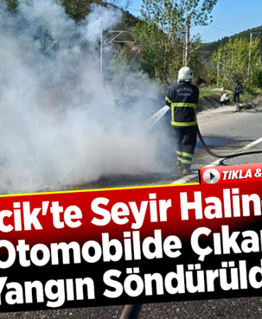 Bilecik'te seyir halindeki otomobilde çıkan yangın söndürüldü