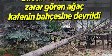 ağaç