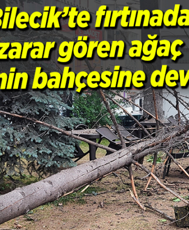 ağaç