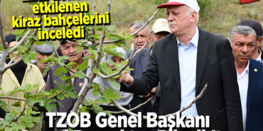 bayraktar