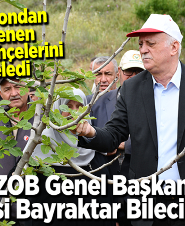 bayraktar