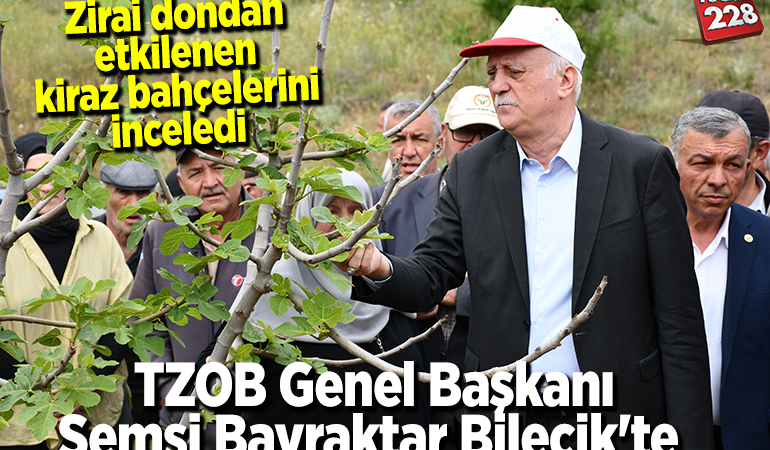 TZOB Genel Başkanı Bayraktar, Bilecik’te zirai dondan etkilenen kiraz bahçelerini inceledi