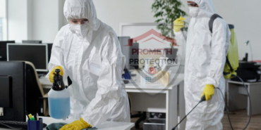 promethilaclama.com (2)