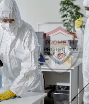 promethilaclama.com (2)