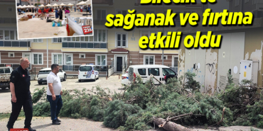 saganakj