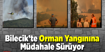 Bilecik Orman Yangınına Müdahale Sürüyor