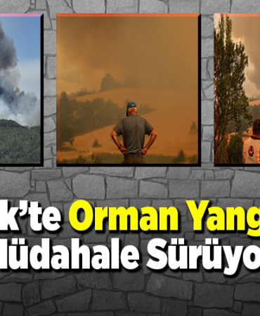 Bilecik Orman Yangınına Müdahale Sürüyor