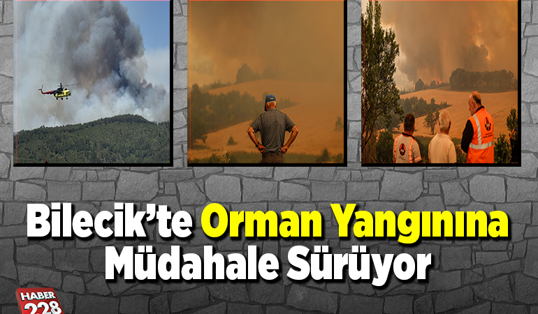 Bilecik Orman Yangınına Müdahale Sürüyor