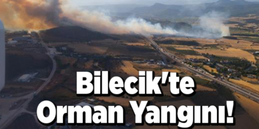 Bilecik'te Orman Yangını!