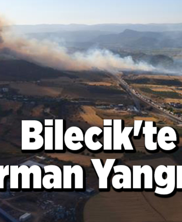 Bilecik'te Orman Yangını!