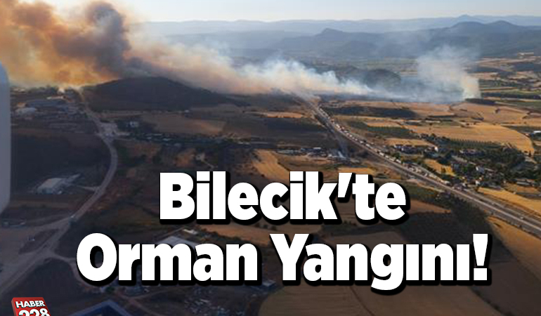 Bilecik’te Orman Yangını!