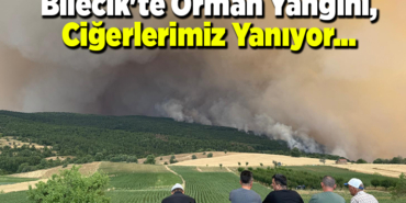 Bilecik'te Orman Yangını, Ciğerlerimiz Yanıyor...
