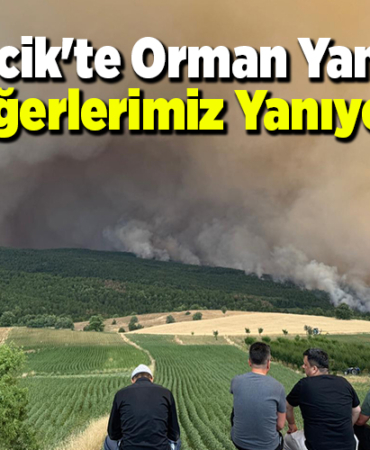 Bilecik'te Orman Yangını, Ciğerlerimiz Yanıyor...
