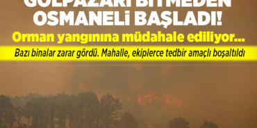 Bilecik'te Orman Yangınında Gölpazarı Bitmeden Osmaneli Başladı