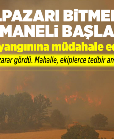 Bilecik'te Orman Yangınında Gölpazarı Bitmeden Osmaneli Başladı