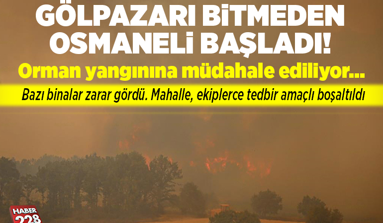 Bilecik’te Orman Yangınında Gölpazarı Bitmeden Osmaneli Başladı
