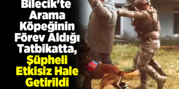 Bilecik'te arama köpeğinin görev aldığı tatbikatta, şüpheli etkisiz hale getirildi