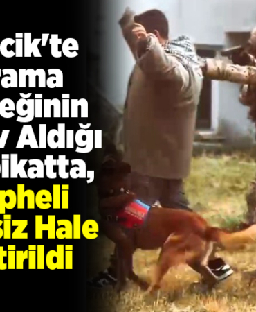 Bilecik'te arama köpeğinin görev aldığı tatbikatta, şüpheli etkisiz hale getirildi