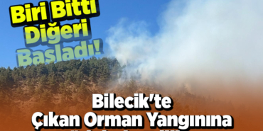 Bilecik'te çıkan orman yangınına müdahale ediliyor