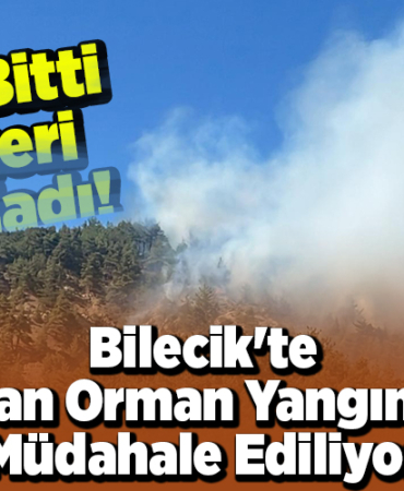Bilecik'te çıkan orman yangınına müdahale ediliyor