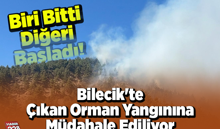 Bilecik’te çıkan orman yangınına müdahale ediliyor