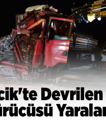Bilecik'te devrilen tırın sürücüsü yaralandı