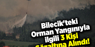 Bilecik'te ki Orman Yangınıyla İlgili 3 Kişi Gözaltına Alındı!