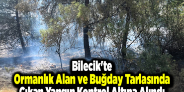 Bilecik'te ormanlık alan ve buğday tarlasında çıkan yangın kontrol altına alındı