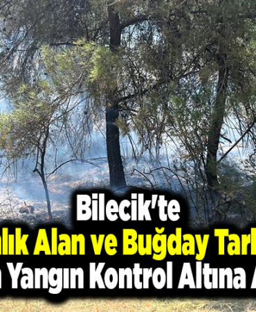 Bilecik'te ormanlık alan ve buğday tarlasında çıkan yangın kontrol altına alındı