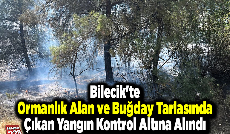 Bilecik’te ormanlık alan ve buğday tarlasında çıkan yangın kontrol altına alındı