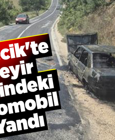 Bilecik'te seyir halindeki otomobil yandı
