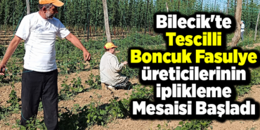 Bilecik'te tescilli boncuk fasulye üreticilerinin iplikleme mesaisi başladı