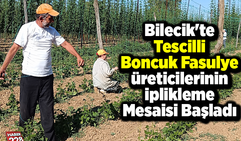 Bilecik’te tescilli boncuk fasulye üreticilerinin iplikleme mesaisi başladı