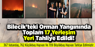 Bilecik'teki Orman Yangınında Toplam 17 Yerleşim Yeri Tahliye Edildi!