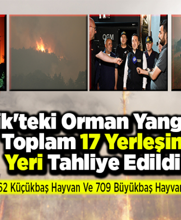Bilecik'teki Orman Yangınında Toplam 17 Yerleşim Yeri Tahliye Edildi!