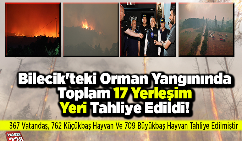 Bilecik’teki Orman Yangınında Toplam 17 Yerleşim Yeri Tahliye Edildi!