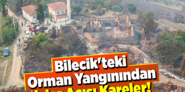 Bilecik'teki Orman Yangınından İçler Acısı Kareler!
