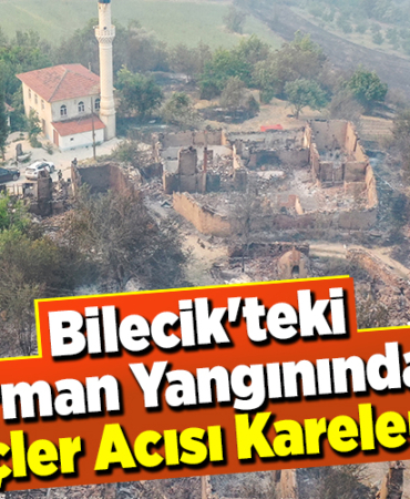 Bilecik'teki Orman Yangınından İçler Acısı Kareler!