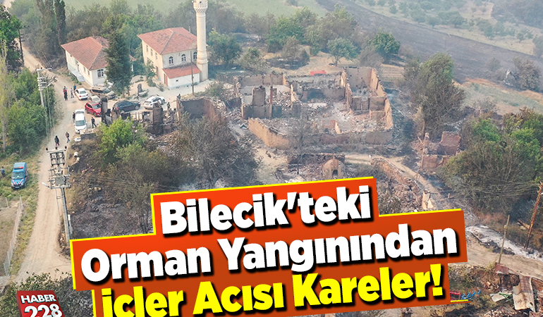 Bilecik’teki Orman Yangınından İçler Acısı Kareler!