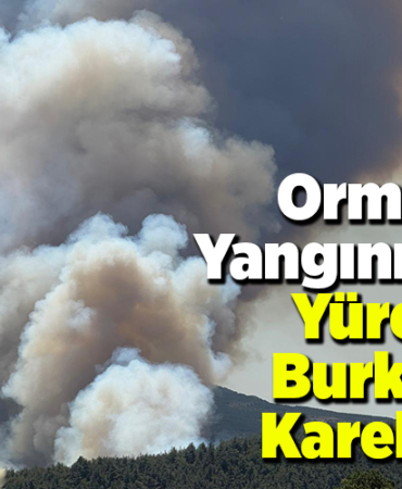 Orman Yangınından Yürek Burkan Kareler!