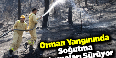 Orman yangınında soğutma çalışmaları sürüyor