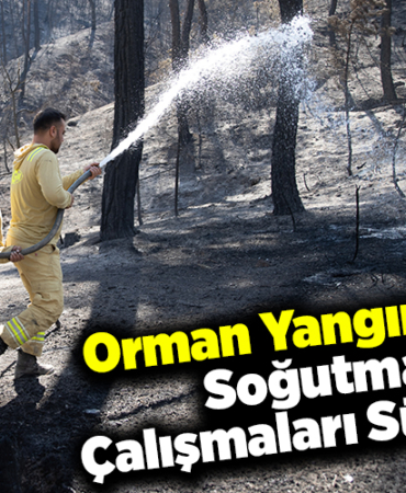 Orman yangınında soğutma çalışmaları sürüyor