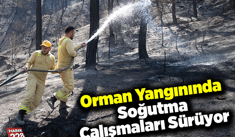 Orman yangınında soğutma çalışmaları sürüyor