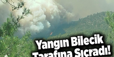 Sakarya'da ormanlık alanda çıkan yangın Bilecik tarafına sıçradı