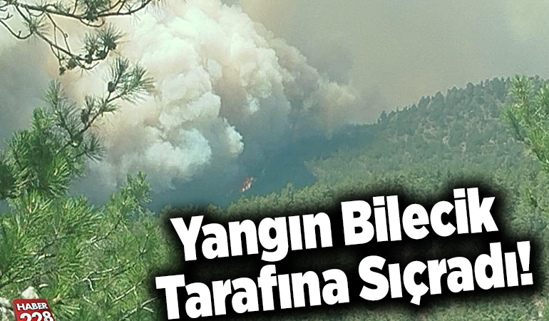 Yangın Bilecik tarafına sıçradı