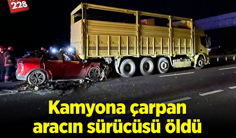 Kamyona çarpan aracın sürücüsü öldü